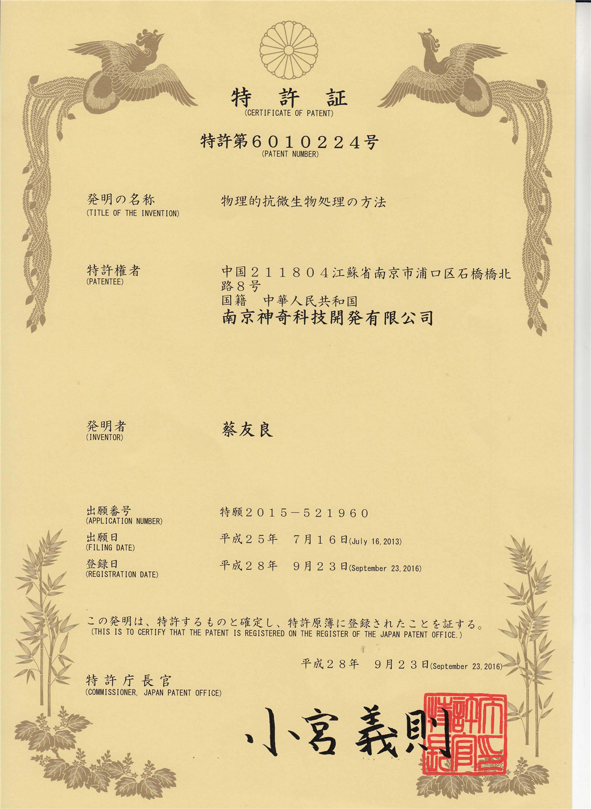 中国专利